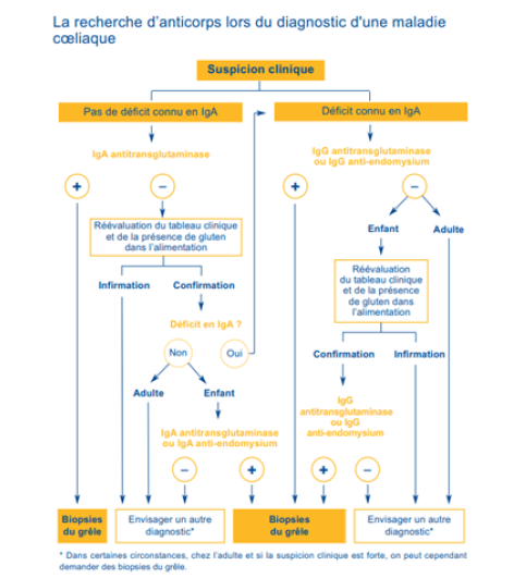 Newsletter Ide N 1 La Maladie Coeliaque Biogroup