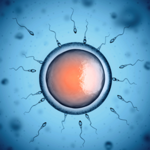 Biogroup - Biologie de la reproduction PMA FIV