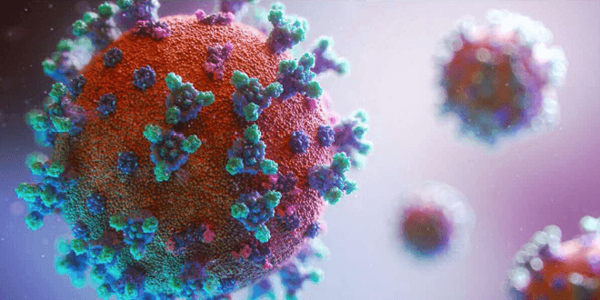 virus-variant-londres virus variant londres