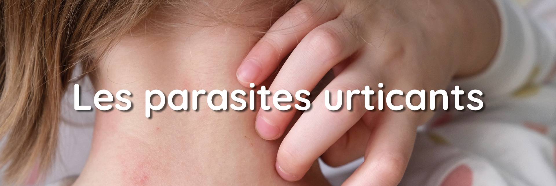 Banniere-Actu-parasites-urticants Banniere-Actu-parasites-urticants