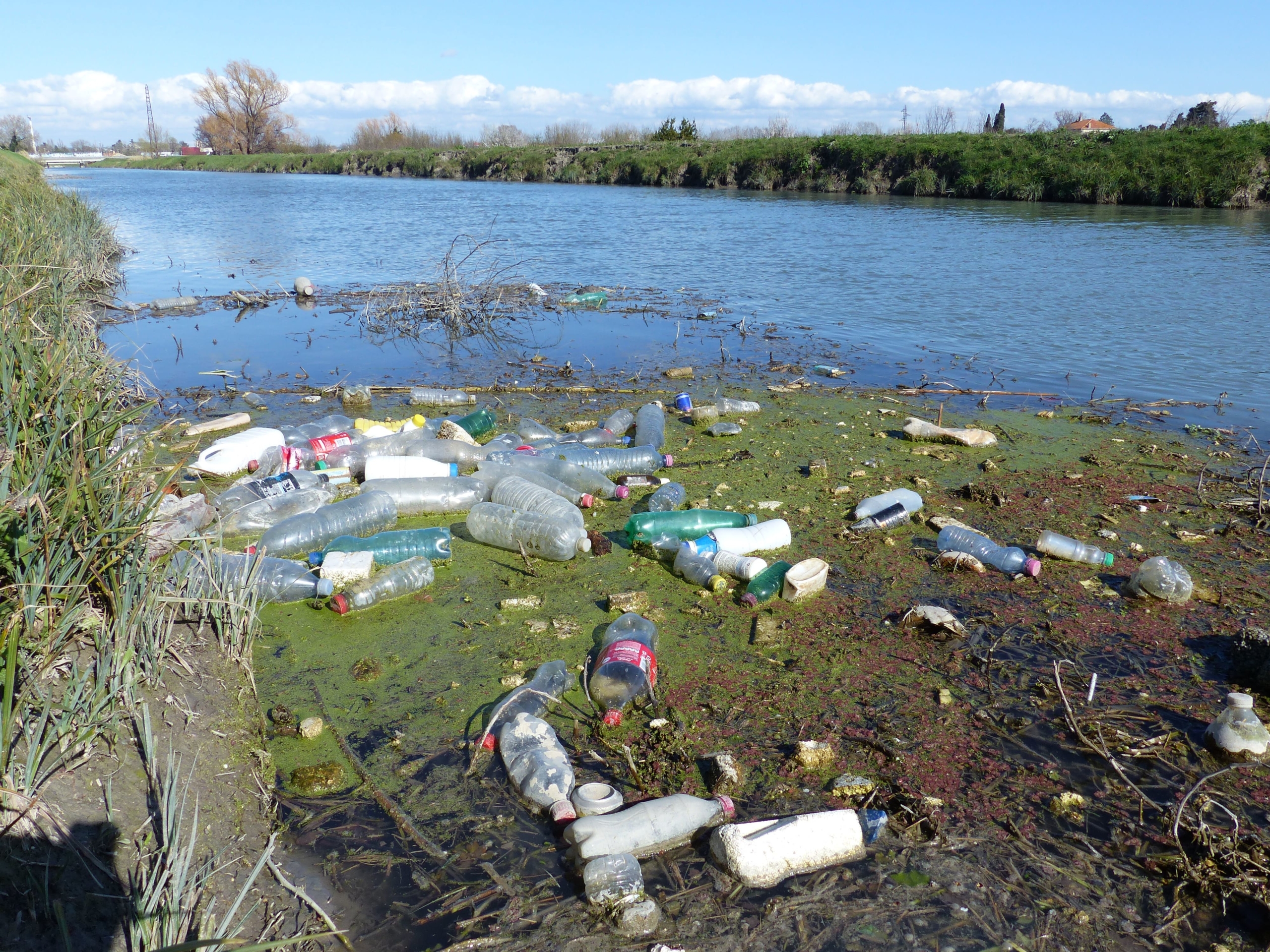 Prolifération de l'eau en sachets : Quand l'eau, qui donne la vie