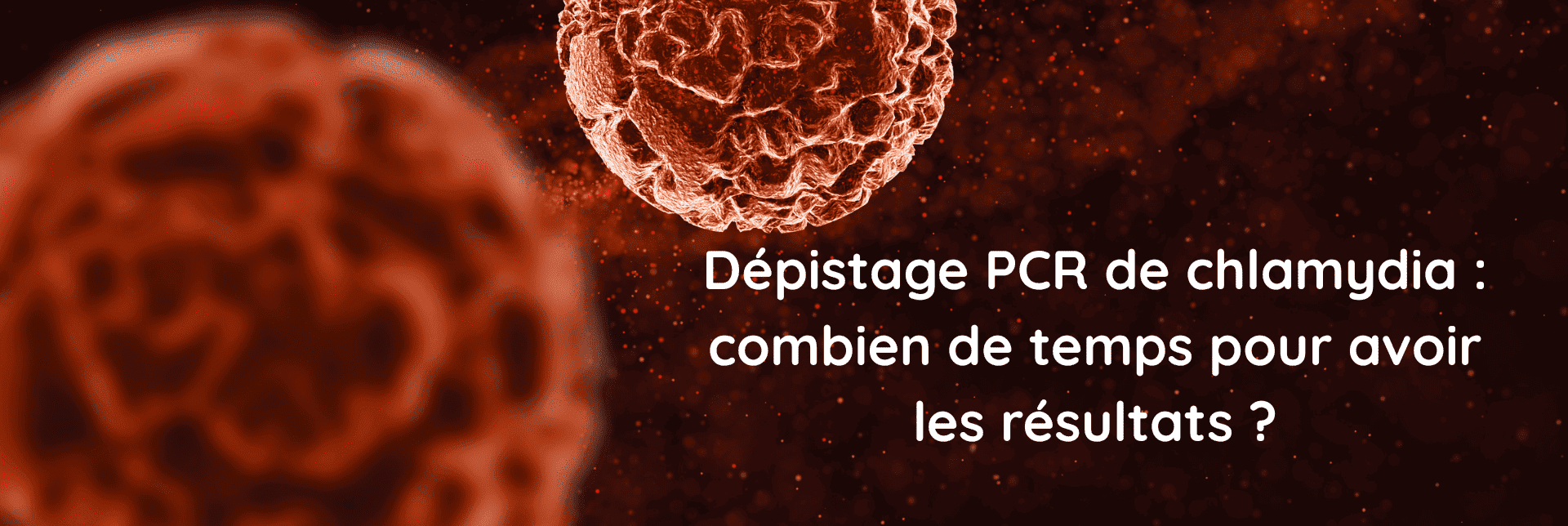 Bannière articles chlamydia site biogroup (5) (1) (1)