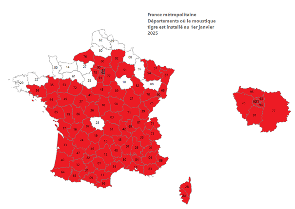 carte1