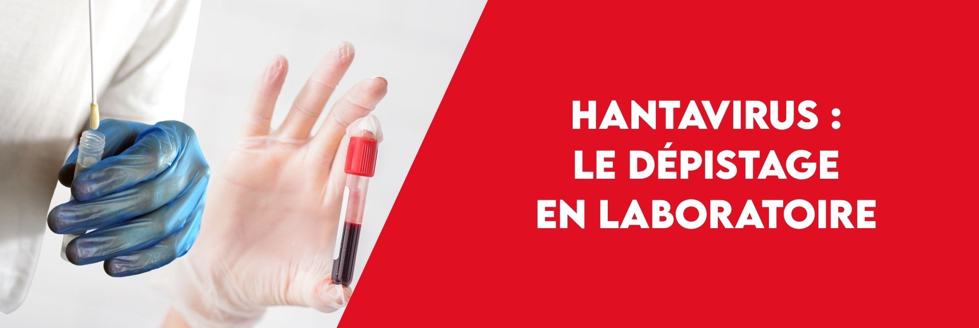 Article Bannière site web (10)