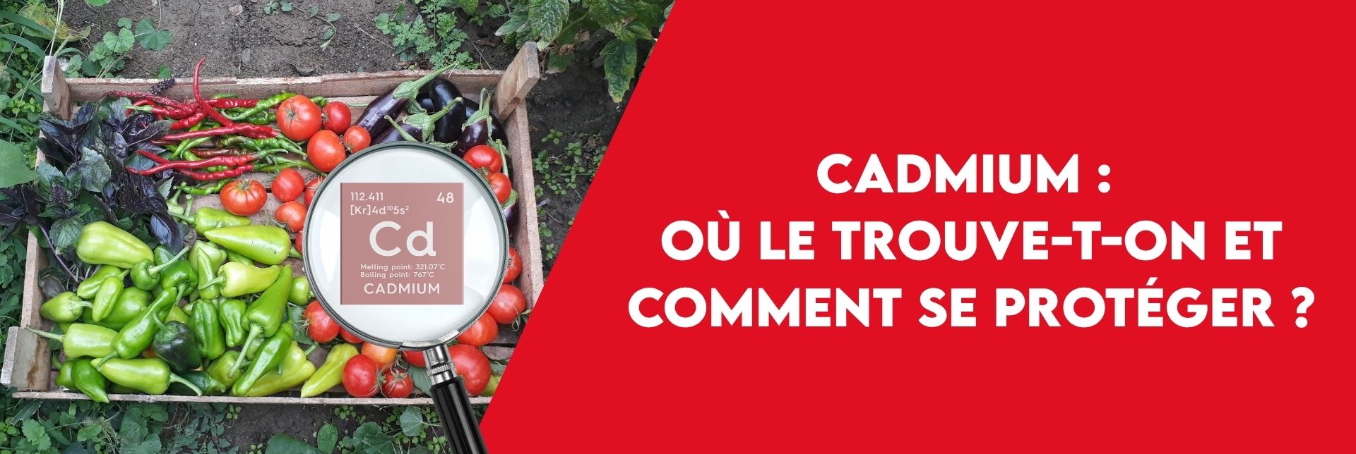 Article Bannière site web (3)