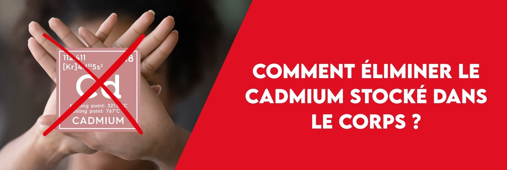 Article Bannière site web (4)