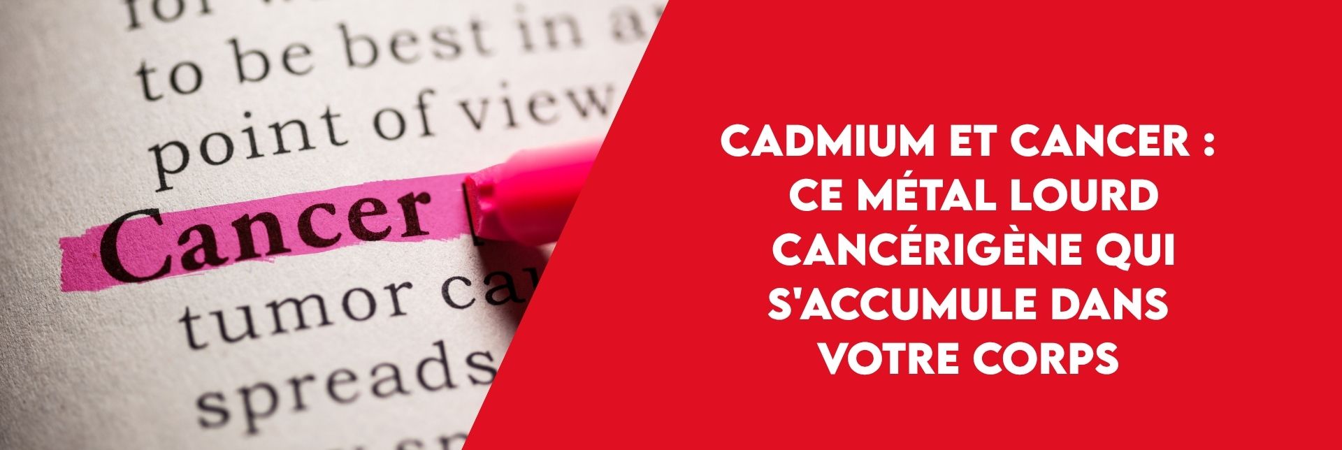 Article Bannière site web (5)