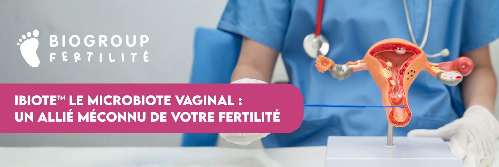 Article Bannière site web ibiote
