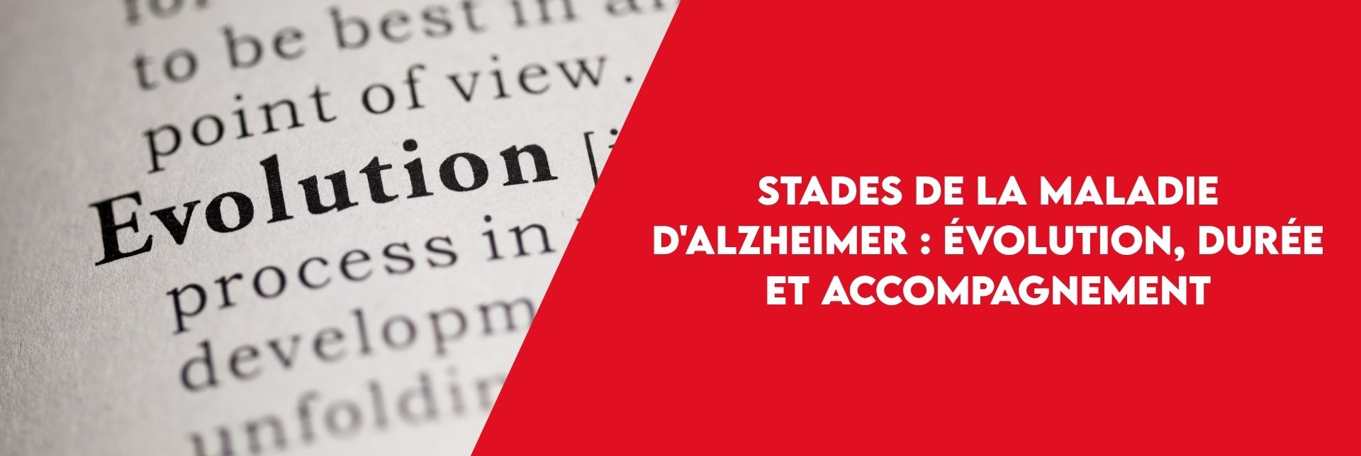 Article Bannière site web (19)