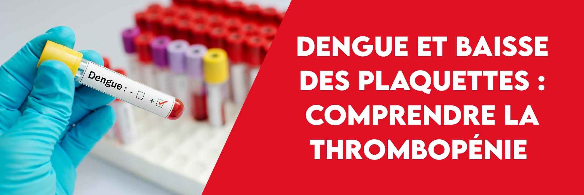 Bannière Dengue plaquette