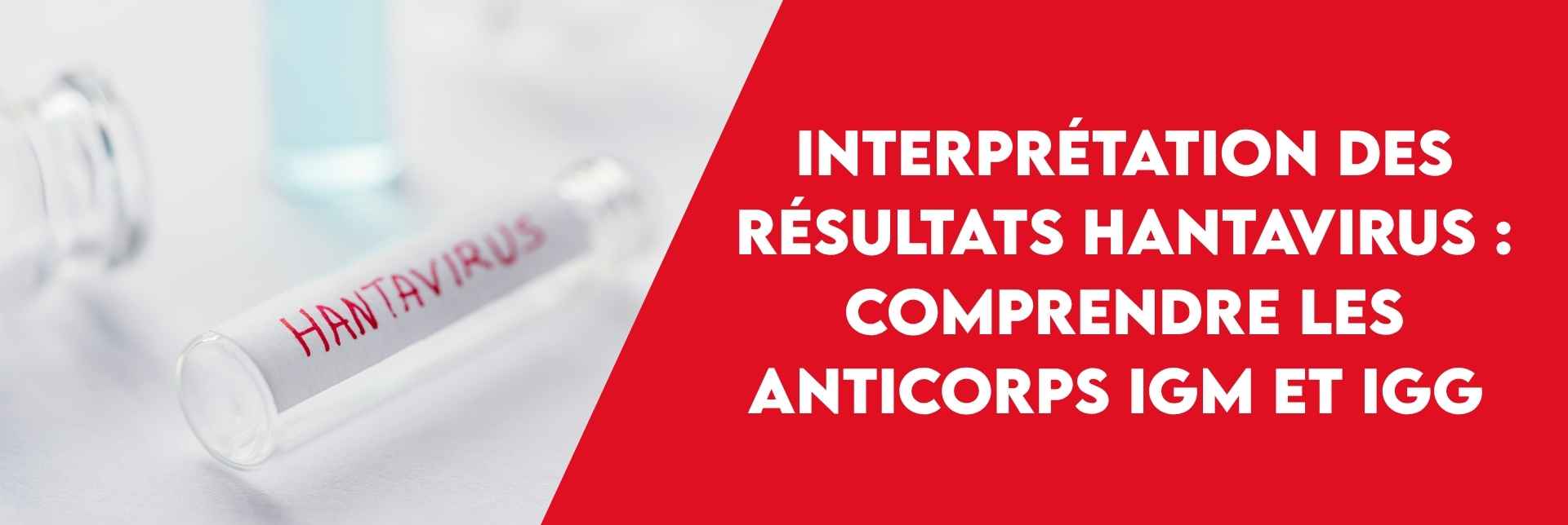 bannière hantavirus tube